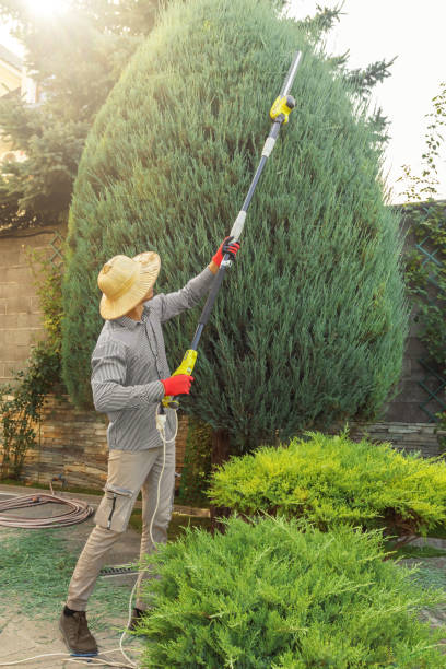 Lawn Watering Services in Carleton, MI